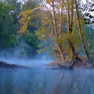 Trees, water and fog in DC